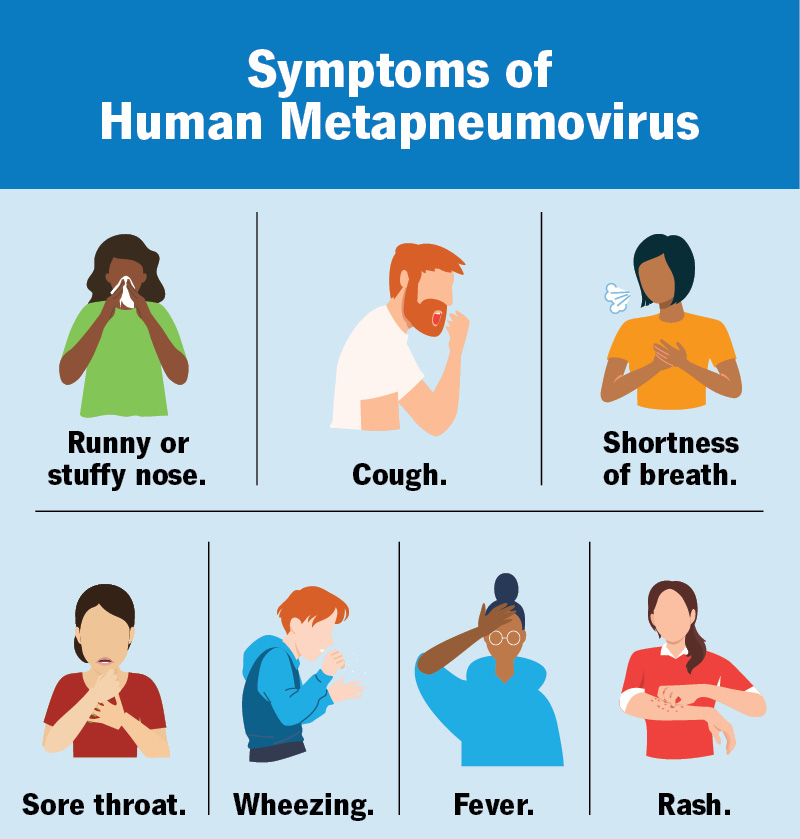 22443-human-metapneumovirus2.jpg