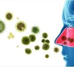 افزایش خطر ابتلا به کووید-۱۹ با وجود برخی باکتری‌های بینی