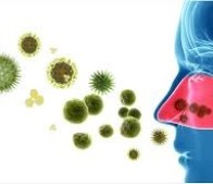 افزایش خطر ابتلا به کووید-۱۹ با وجود برخی باکتری‌های بینی