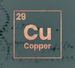 بیماری ویلسون